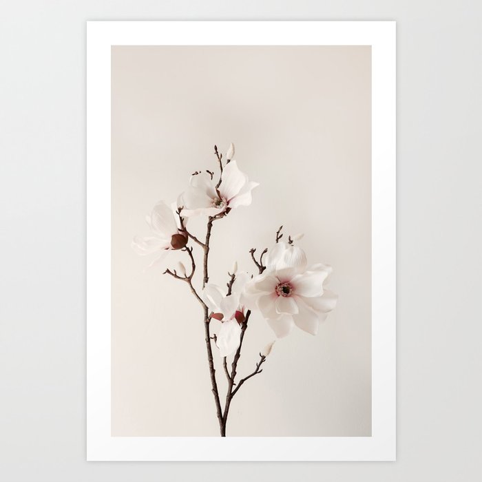 White Magnolia flower photography - elegant minimal floral print Art Print