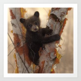 Black Bear Cub - Curious Cub Art Print