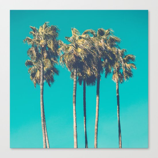 Palm Trees Canvas Print