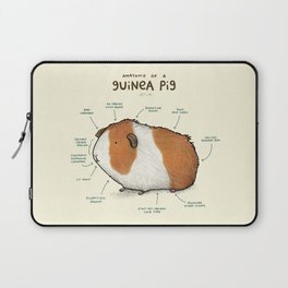 Anatomy of a Guinea Pig Laptop Sleeve