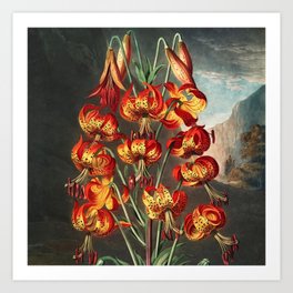 Vintage flower floral art painting Art Print