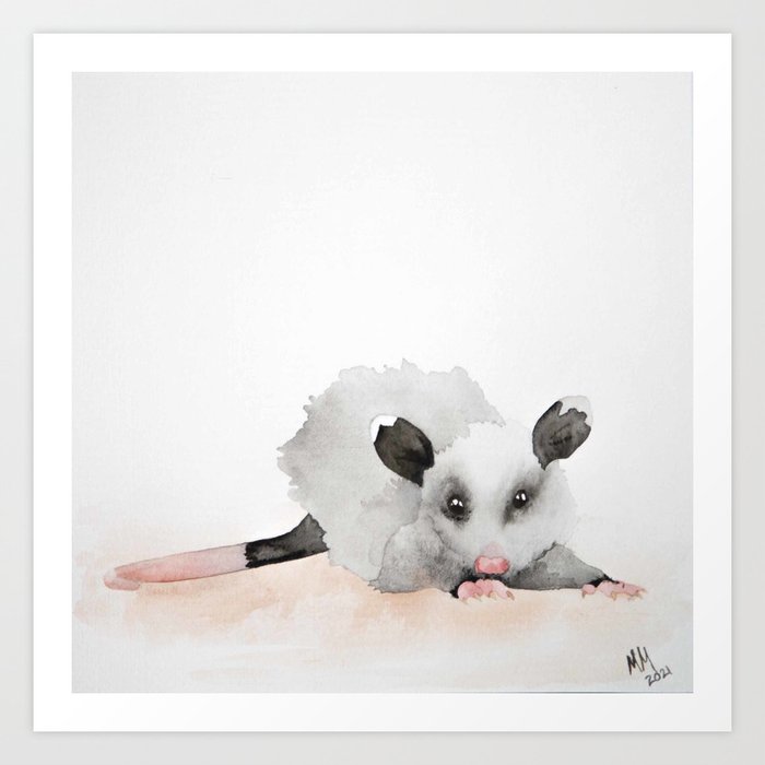 Young Opossum  Art Print