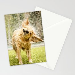 Dog shaking off water Stationery Cards
