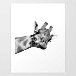 Black and white giraffe Art Print