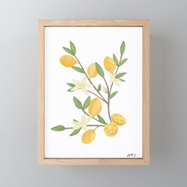 Meyer Lemons | Lemon tree | watercolor Framed Mini Art Print