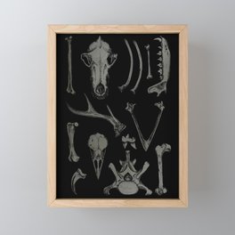 Animal Bones Black  Framed Mini Art Print