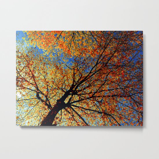 Mother Nature Metal Print