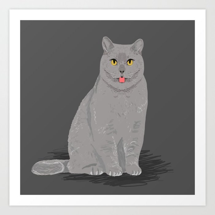 Egyptian 2025 grey cat