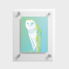 Barn Owl Remix Floating Acrylic Print