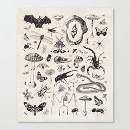 Bones, Bugs, Botanicals Canvas Print