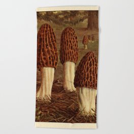 Morel Mushrooms Beach Towel