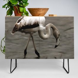 Graceful Grey Flamingo Fledgling Acrylic Art Credenza