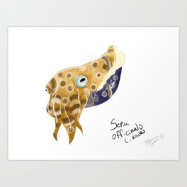 cuddlefish Art Print