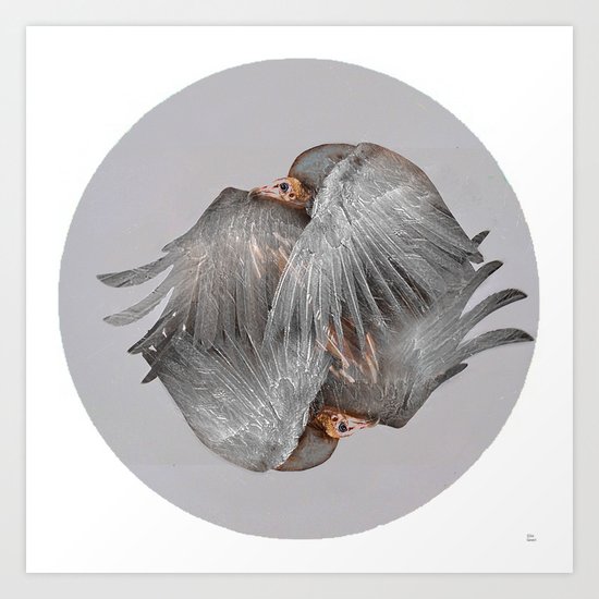 The vulture Art Print