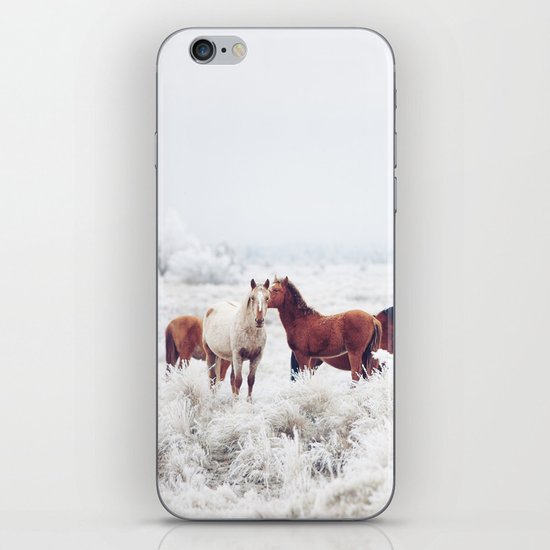 Winter Horseland iPhone & iPod Skin