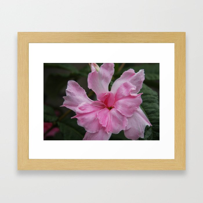 Pink Floral Framed Art Print