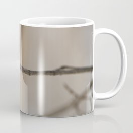 Branch on a blurred brown background Coffee Mug