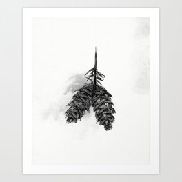 Pine Cone Ink Study Art Print