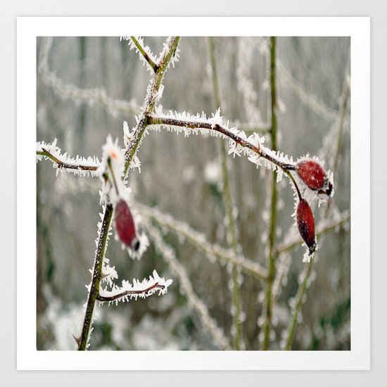 ice nature Art Print