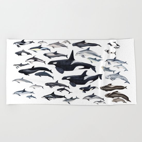 Dolphin diversity Beach Towel