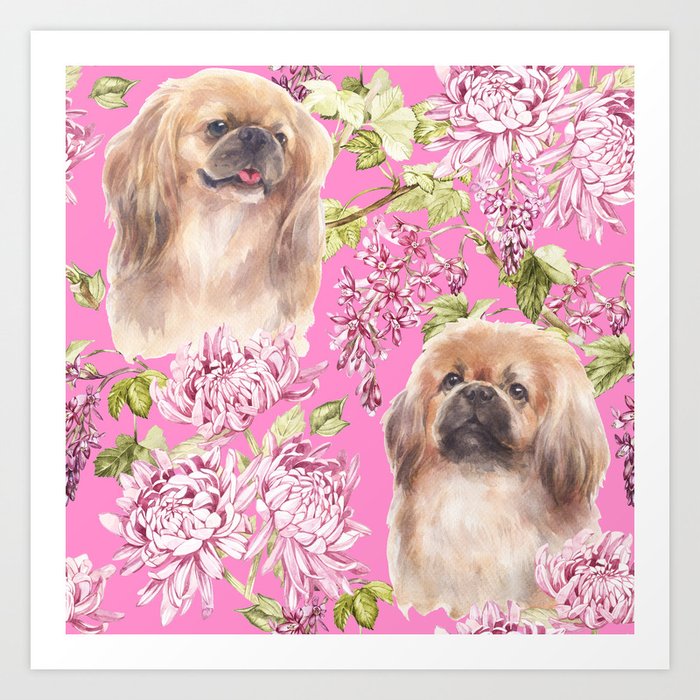 Pink pekingese cheap