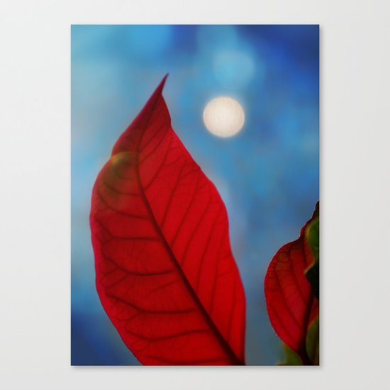 Moonlight Canvas Print