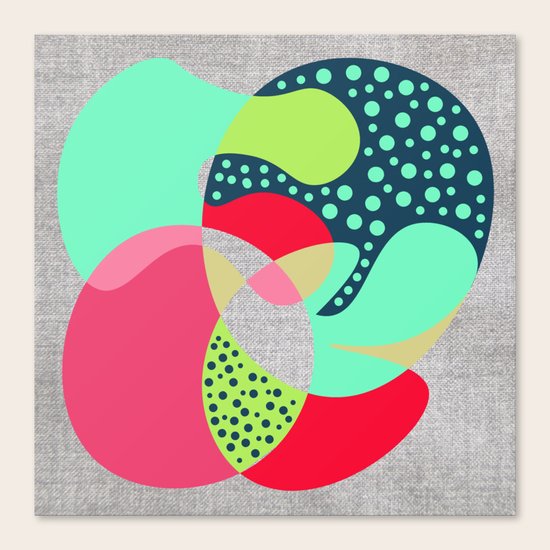 NaiveIII Canvas Print