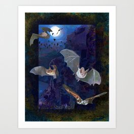 Western Bats Art Print