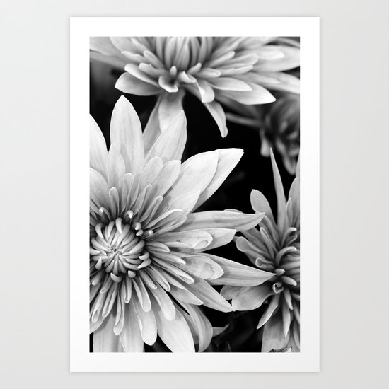 black and white flowers,. Art Print