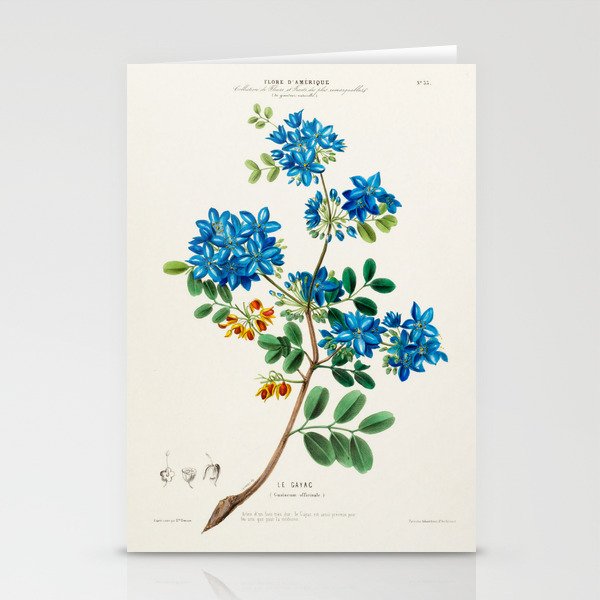 Blue flowering tree from "Flore d’Amérique" by Étienne Denisse, 1840s Stationery Cards