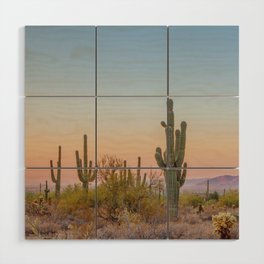 Desert / Scottsdale, Arizona Wood Wall Art