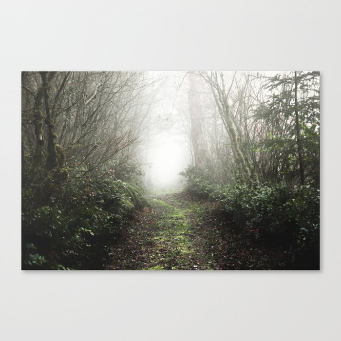 Pacific Northwest Trails - 121/365 Nature Photography Canvas Print