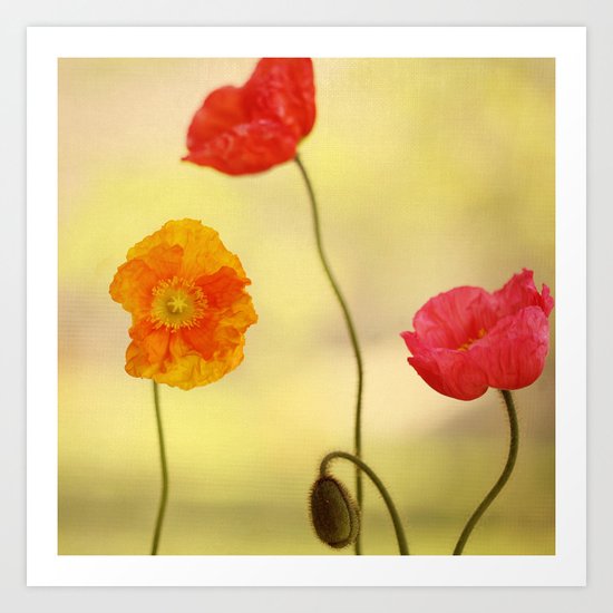 Jeune Fille Art Print