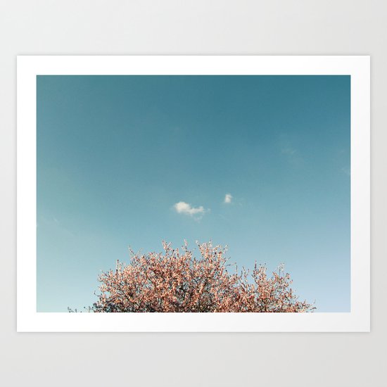 Cherry Blossom Art Print