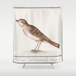 Nightingale, Luscinia Megarhynchos Shower Curtain