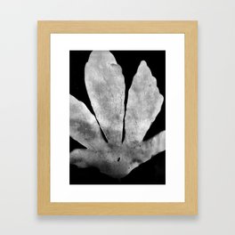 Hibscus Leaf Photogram Framed Art Print