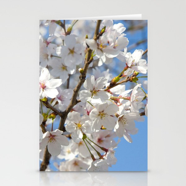 Blossom Stationery Cards