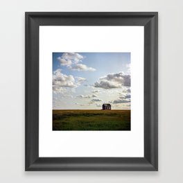 Montana Framed Art Print