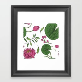 Lily Pad Blossoms Framed Art Print