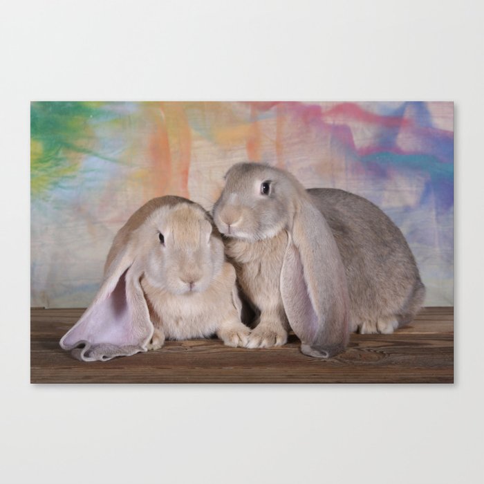 Spring Bunnies Canvas Print
