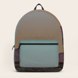 trendy vsco backpacks