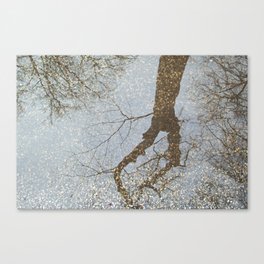 Reflection of trees in a water puddle on the road Canvas Print