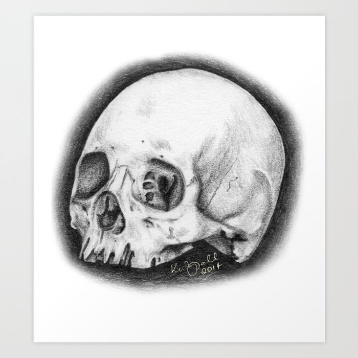 realistic skull designs