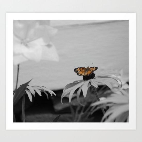 A Touch of Orange Art Print