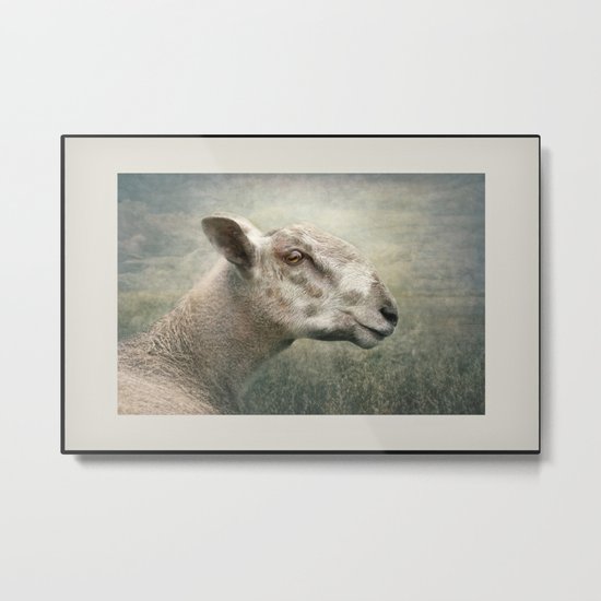 A portrait of Ewe.... Metal Print