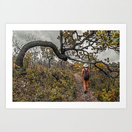 Wanderer woman on the path of Cerrado. Woman walking on a rocky trail passing under a crooked tree. Art Print