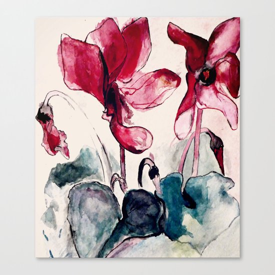 Alpenveilchen Canvas Print