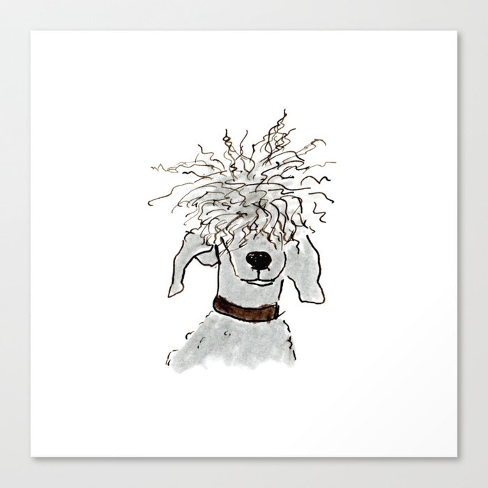 dog with funny hair Canvas Print