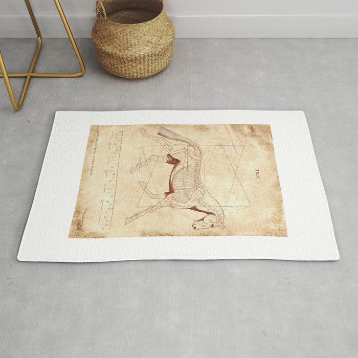 Da Vinci Horse: The Trot Revealed Rug