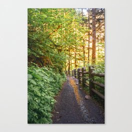 Oregon Forest Trail PNW Canvas Print